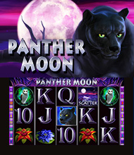 Игровой автомат Panther Moon